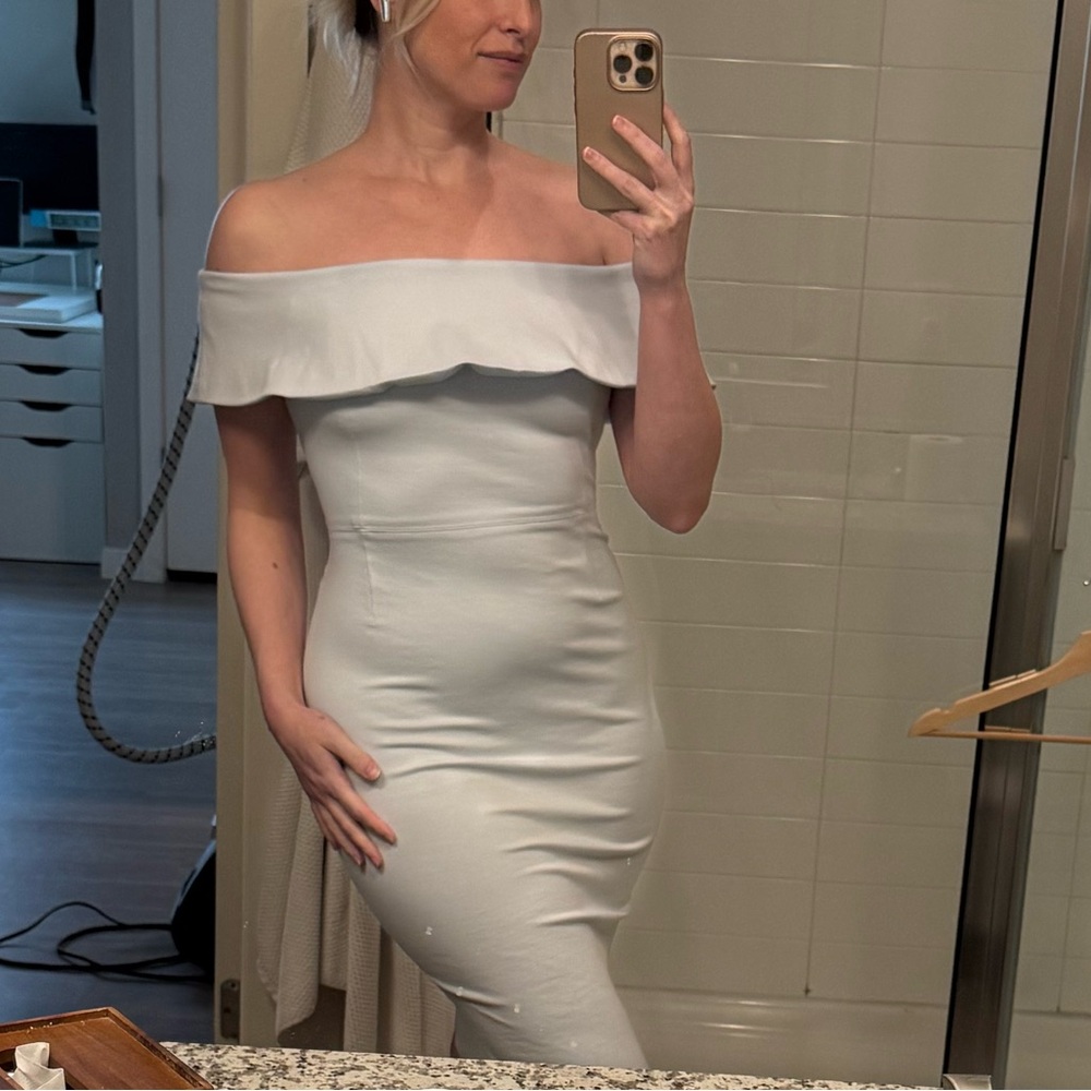 Aritzia Babaton Ruslan Dress